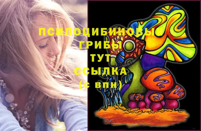 Псилоцибиновые грибы Psilocybe  hydra tor  Камызяк 